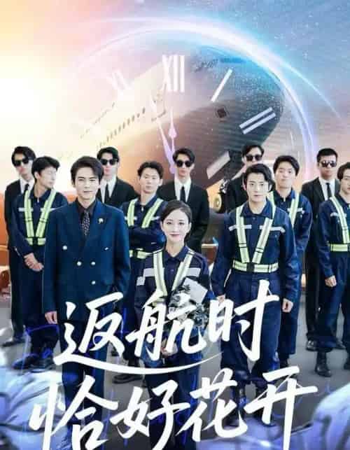 返航时恰好花开 返航时恰好花开