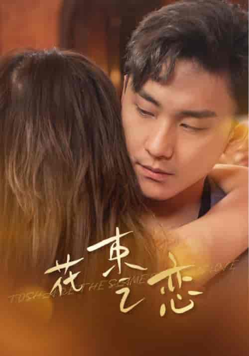 花束之恋（76集）-紫橙网创项目网