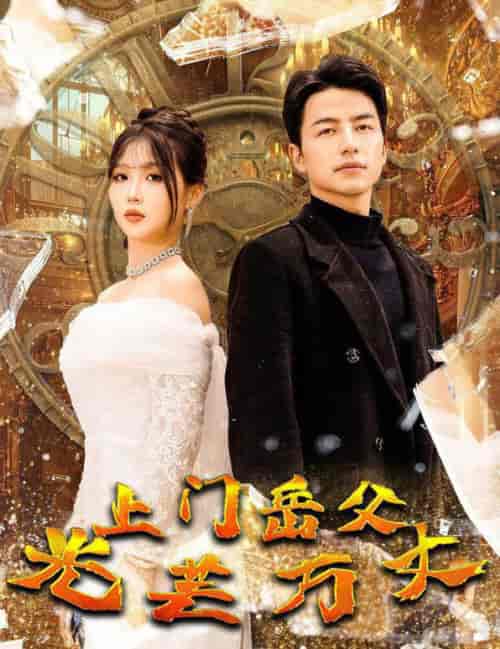 上门岳父光芒万丈（59集全）吴昊-紫橙网创项目网