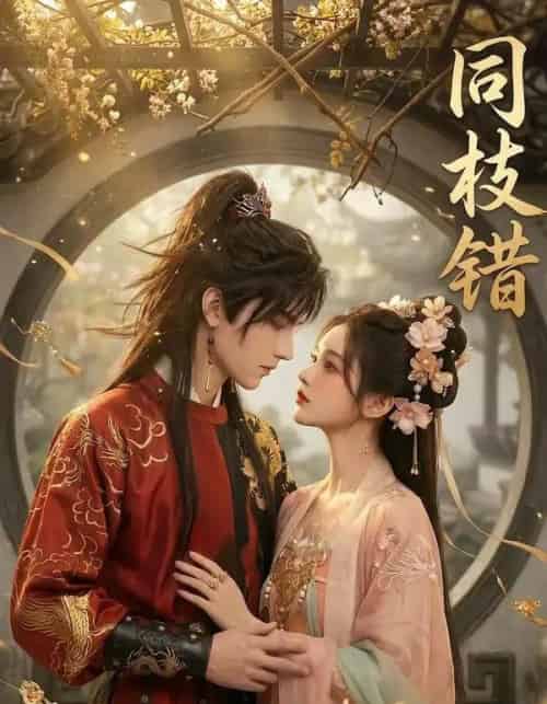 同枝错(39集全)AI-紫橙网创项目网