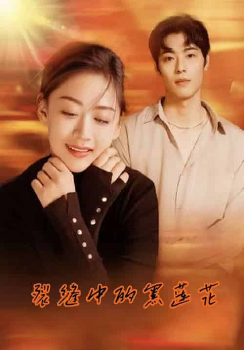 裂缝中的黑莲花（77集全）商陆＆于星画 - 紫橙阁短剧