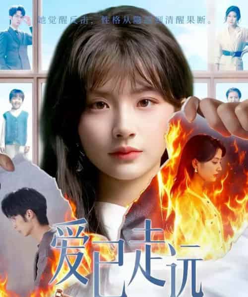 爱已走远(60集全)王浩&何可人-紫橙网创项目网