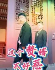 这个赘婿不好惹（27集全） - 紫橙阁短剧