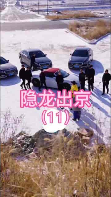 隐龙出京（90集） - 紫橙阁短剧