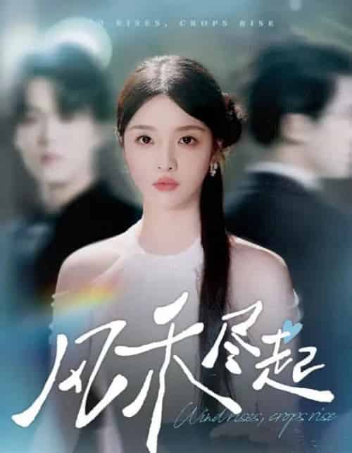 风禾尽起（44集全）张英杰＆罗永瑶 - 紫橙阁短剧