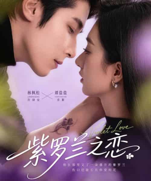 紫罗兰之恋（82集全）谭盐盐＆林枫松-紫橙网创项目网