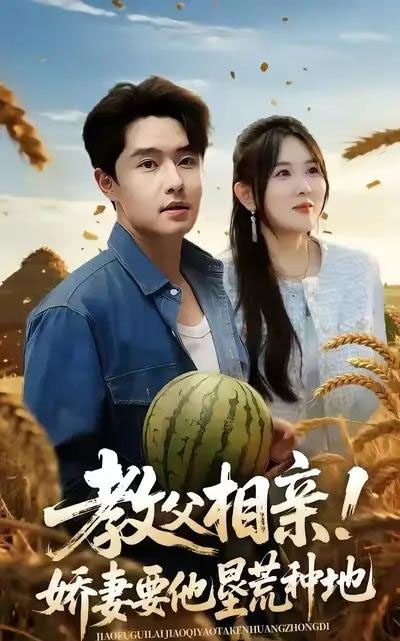 教父相亲娇妻要他垦荒种地(58集全)梁继镭&翟兆星&霍豆豆-紫橙网创项目网