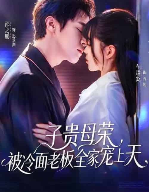 子贵母荣，被冷面老板全家宠上天（70集全）邵之鹏＆车超炎-紫橙网创项目网