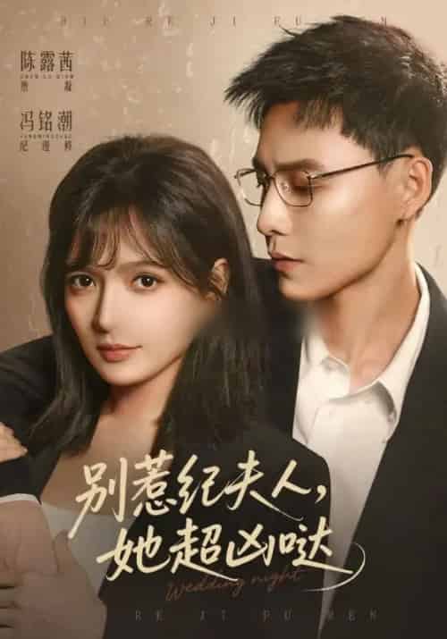 别惹纪夫人，她超凶哒（70集全）陈露茜＆冯铭潮-紫橙网创项目网