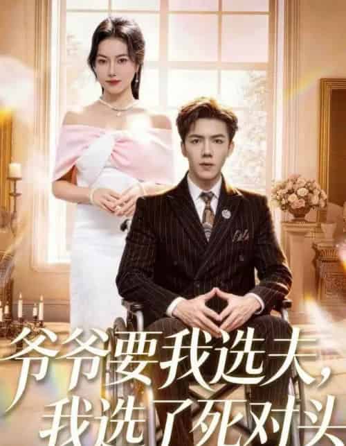 爷爷要我选夫，我选了死对头（66集全）辛润茜＆江七昂-紫橙网创项目网