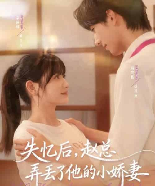 失忆后，赵总弄丢了他的小娇妻（79集全）李咏婧＆冯文栋 - 紫橙阁短剧