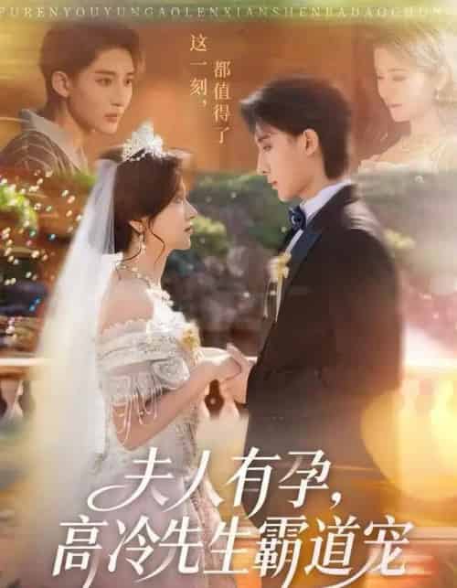 夫人有孕，高冷先生霸道宠（60集全）李思潼＆译泽-紫橙网创项目网