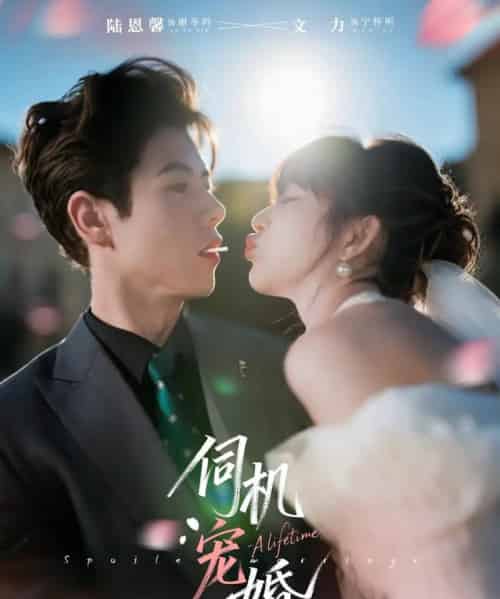 伺机宠婚（80集全）文力＆陆恩馨 - 紫橙阁短剧