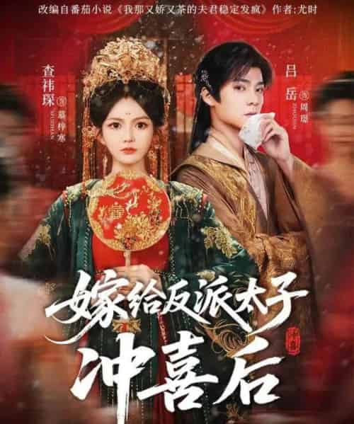 嫁给反派太子冲喜后（64集全）吕岳＆查袆琛-紫橙网创项目网