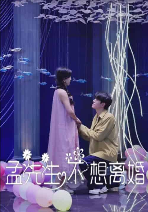 孟先生不想离婚（30集全）孟济川＆宋暖 - 紫橙阁短剧