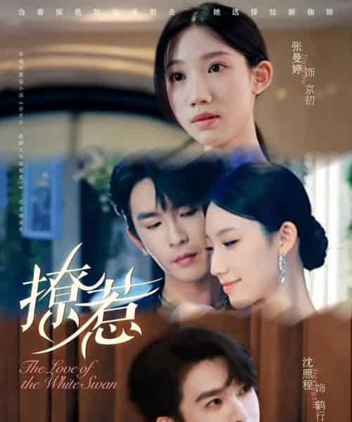撩惹（80集全）张曼婷＆沈照程 - 紫橙阁短剧