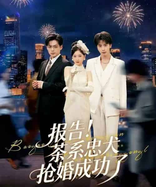 报告!茶系忠犬抢婚成功了(83集全)夏志成&李珈童-紫橙网创项目网