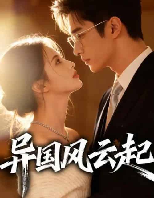异国风云起（40集全）Ai-紫橙网创项目网