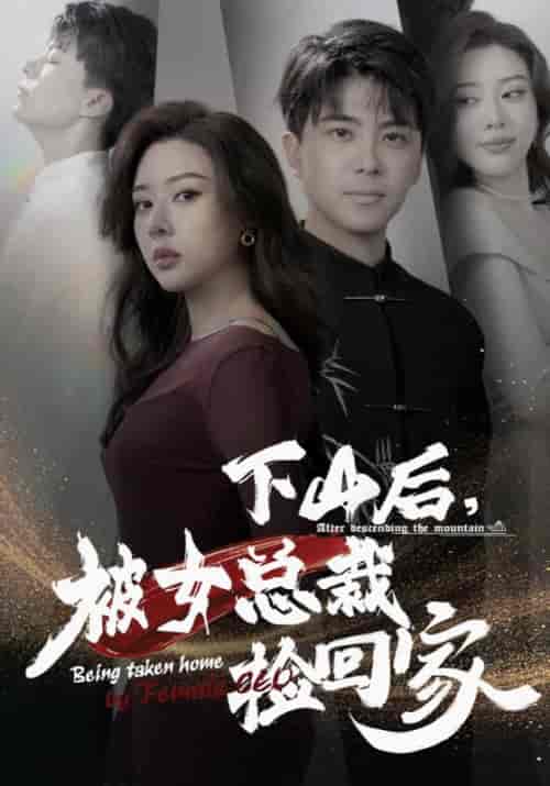 下山后，被女总裁捡回家（95集全）林辰＆楚嘉雪 - 紫橙阁短剧