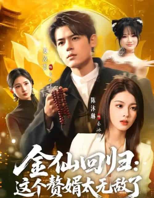 金仙回归：这个赘婿太无敌了（76集全）姜凌雲＆陈沐琳-紫橙网创项目网