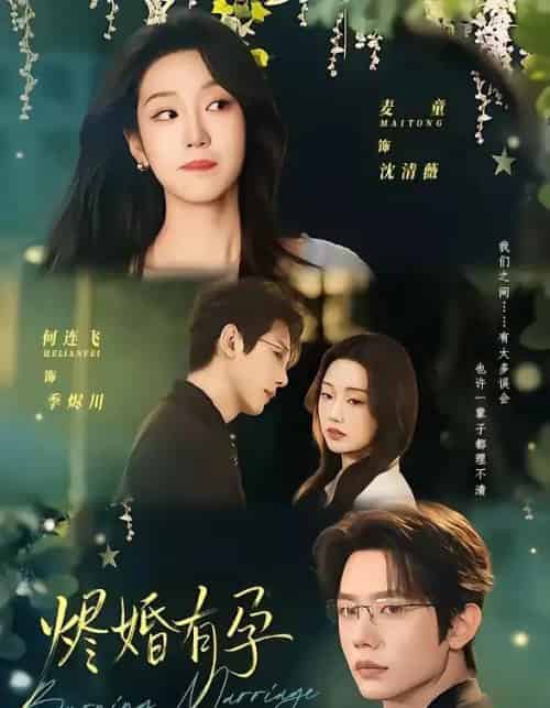 烬婚有孕(61集全)何连飞&麦童-紫橙网创项目网