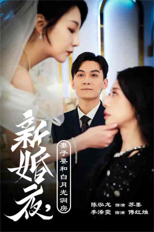 新婚夜，妻子要和白月光洞房＆礼尚往来（30集全） - 紫橙阁短剧