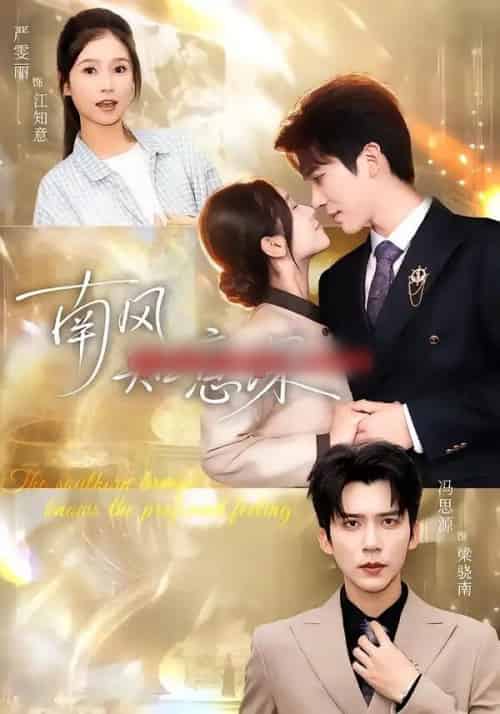 南风知意深（40集全）冯思源＆严雯丽-紫橙网创项目网