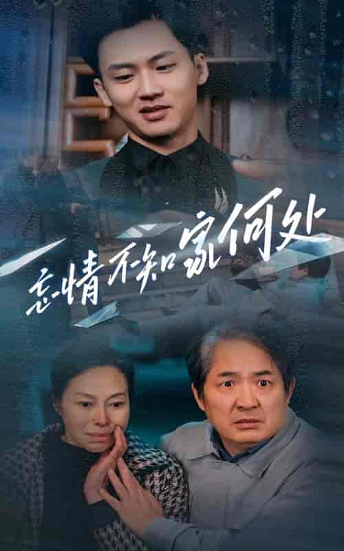 忘情不知家何处（53集全） - 紫橙阁短剧