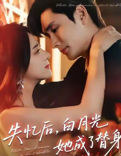 失忆后,白月光她成了替身(70集全)孙捷平&杨洛仟-紫橙网创项目网