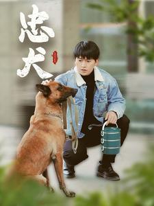 忠犬（34集全） - 紫橙阁短剧