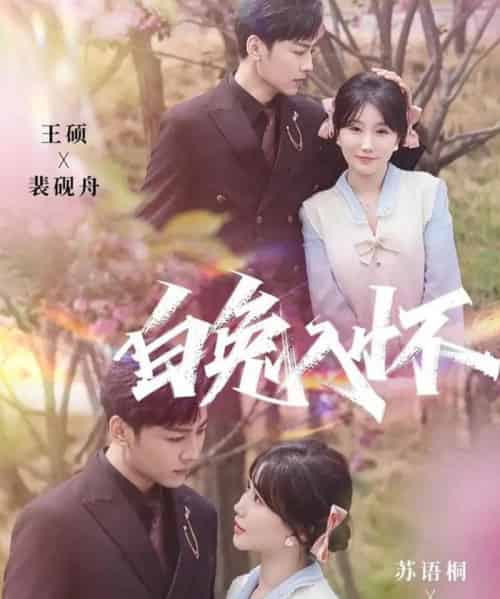 白兔入怀（60集全）星硕＆苏语桐-紫橙网创项目网