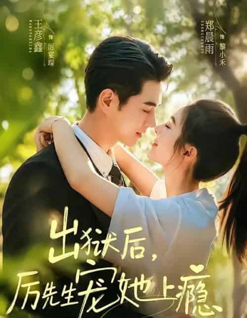 出狱后,厉先生宠她上瘾(80集全)郑晨雨&王彦鑫-紫橙网创项目网