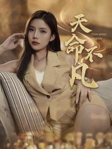 天命不凡（28集全） - 紫橙阁短剧