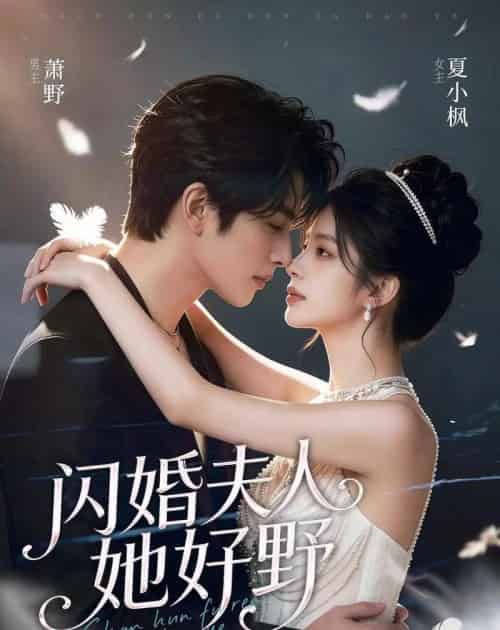 闪婚夫人她好野(69集全)AI-紫橙网创项目网