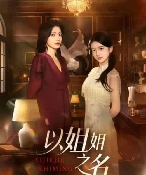 以姐姐之名（61集全）魏嘉＆华文婷-紫橙网创项目网