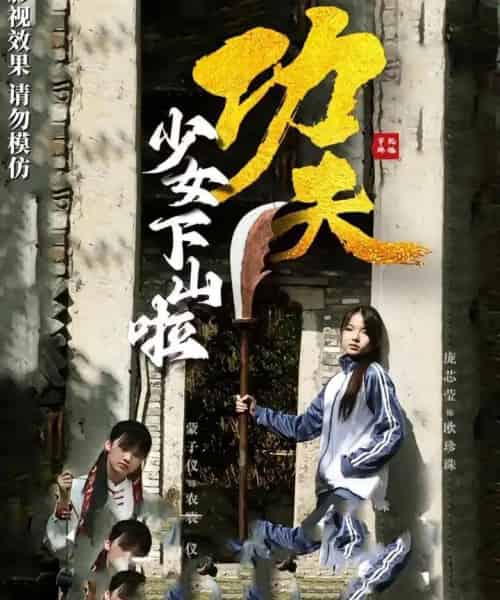 功夫少女＆功夫少女下山啦（100集）-紫橙网创项目网