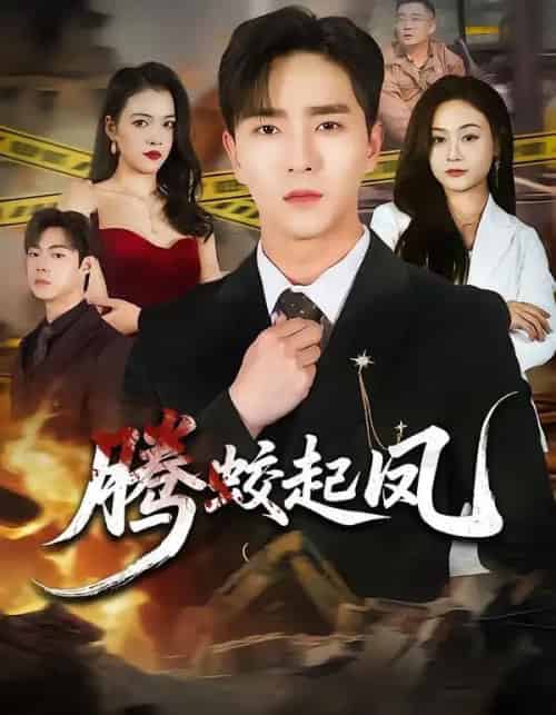 腾蛟起凤(79集全)田星熠&罐小结-紫橙网创项目网