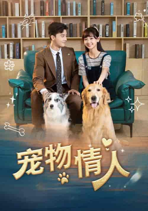 宠物情人（42集全）韩忠羽 - 紫橙阁短剧