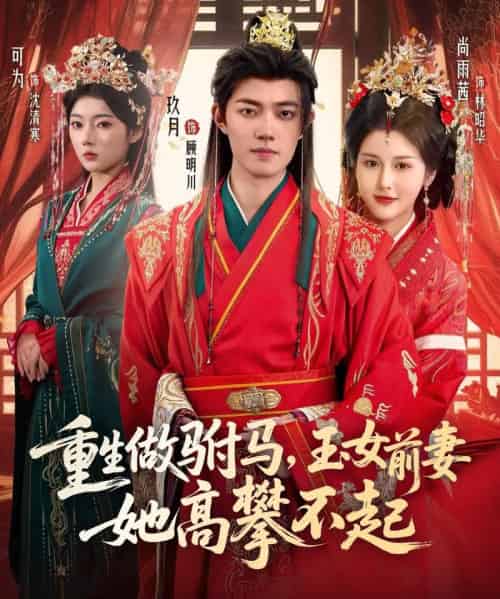 重生做驸马,玉女前妻她高攀不起 重生做驸马,玉女前妻她高攀不起