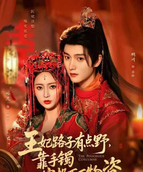 王妃路子有点野，靠手镯空投百万物资（75集全）哈尼＆明川-紫橙网创项目网