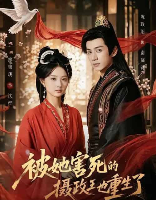 被她害死的摄政王也重生了（79集全）廖银玥＆陈政阳-紫橙网创项目网