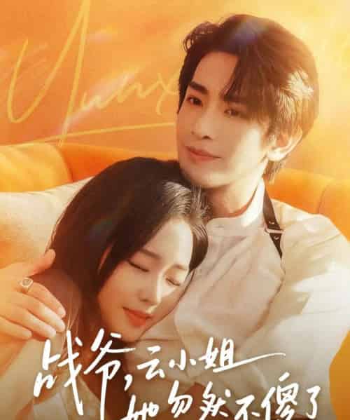 战爷，云小姐她忽然不傻了（66集全）王浩翔＆吴佳璐-紫橙网创项目网