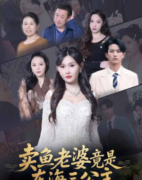 卖鱼老婆竟是东海三公主 (61集) 王新颖-紫橙网创项目网