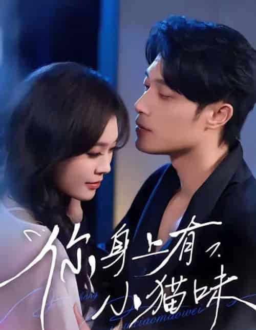 你身上有小猫味（47集全）韩悦＆一安羊 - 紫橙阁短剧