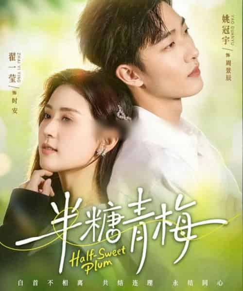 半糖青梅（96集全）翟一莹＆姚冠宇-紫橙网创项目网