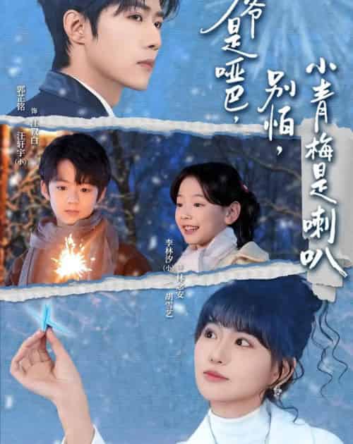 少爷是哑巴，别怕，小青梅是喇叭＆少爷是哑巴别怕小青梅是喇叭（70集全）郭芷铭＆胡雪艺-紫橙网创项目网