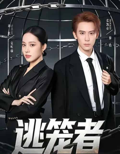 逃笼者(71集全)张凯帝&谭笑-紫橙网创项目网