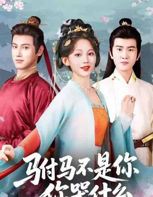驸马不是你，你哭什么（49集全）傅邦奇＆崔秀子-紫橙网创项目网