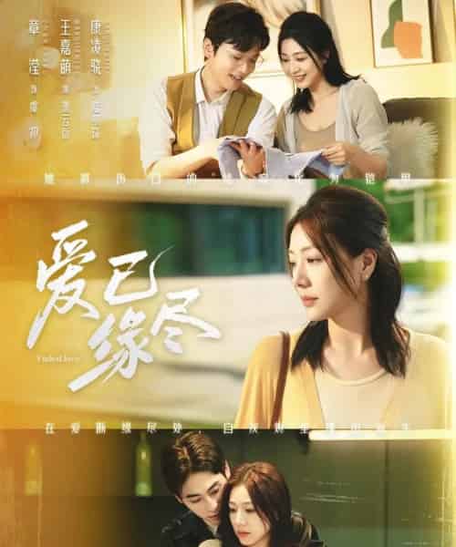 爱已缘尽（62集全）王嘉萌＆章滢-紫橙网创项目网
