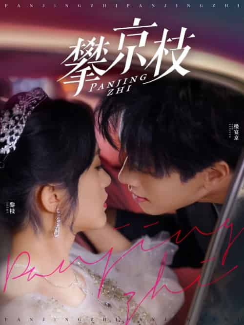 攀京枝（80集全）展轩＆毛香淋 - 紫橙阁短剧